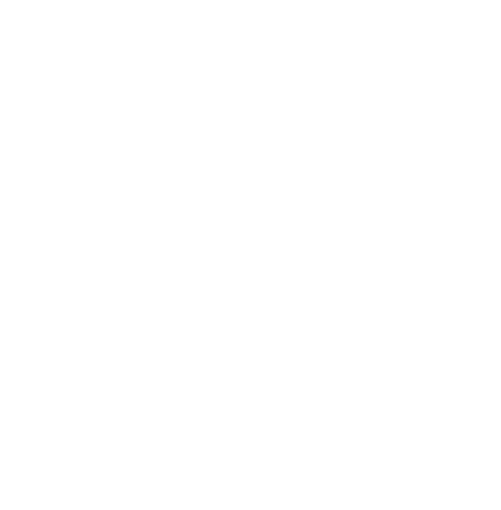 Final Selection Logo